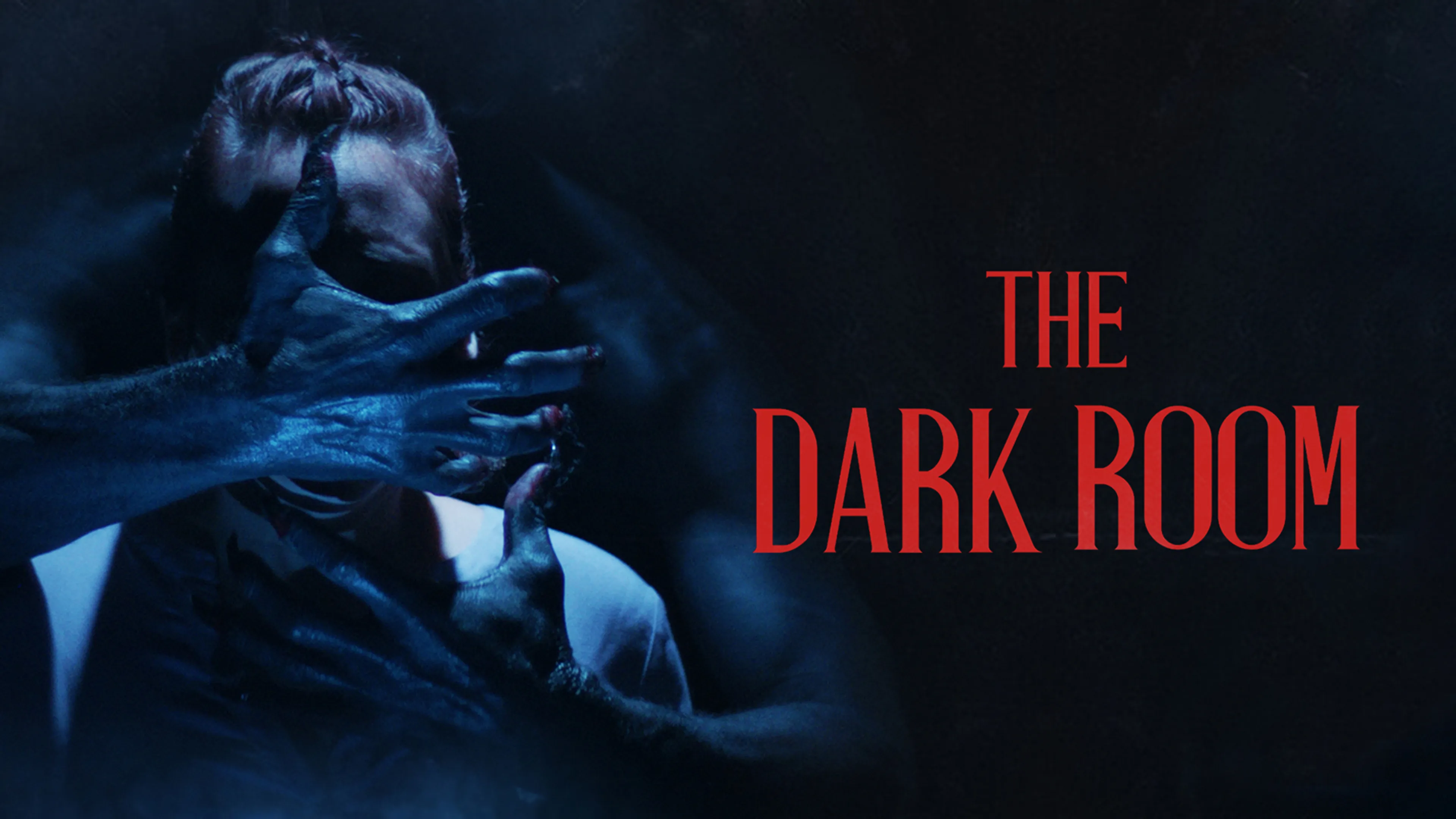 The Dark Room poster
